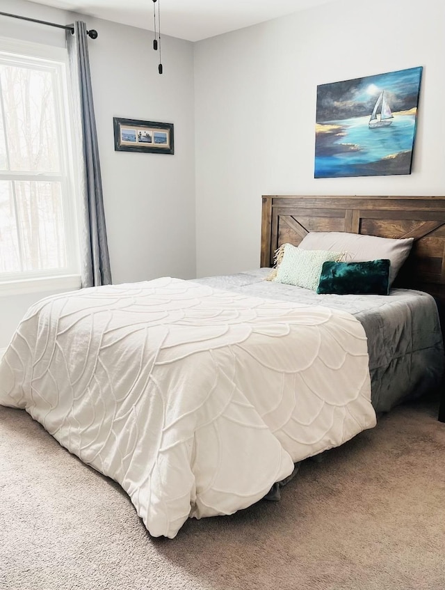 7144 Triple Crown Ln, Fairview, TN 37062 - view of carpeted bedroom