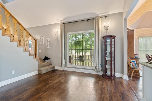 entrance foyer featuring dark wood-type flooring