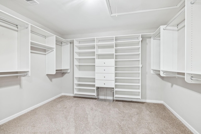 walk in closet with attic access and carpet floors