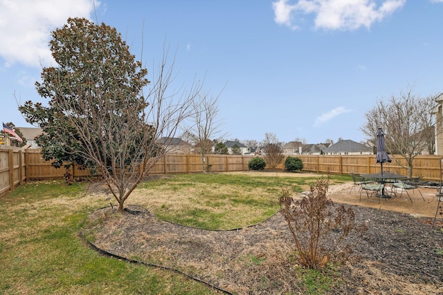 view of yard with a patio