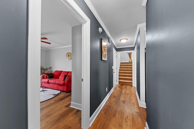 hall featuring hardwood / wood-style flooring and ornamental molding