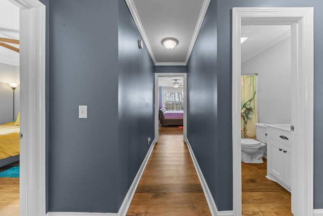 hall featuring wood-type flooring and ornamental molding