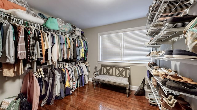 walk in closet with dark wood finished floors