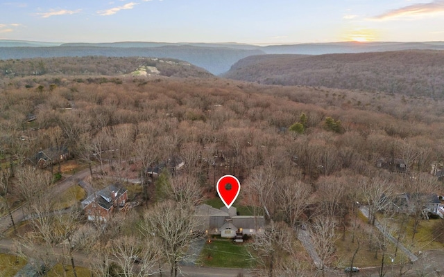 drone / aerial view featuring a mountain view