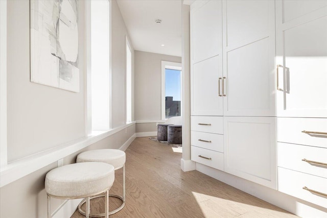 walk in closet featuring light wood-style flooring