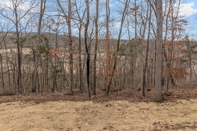 view of local wilderness