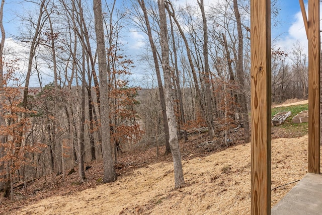 view of local wilderness