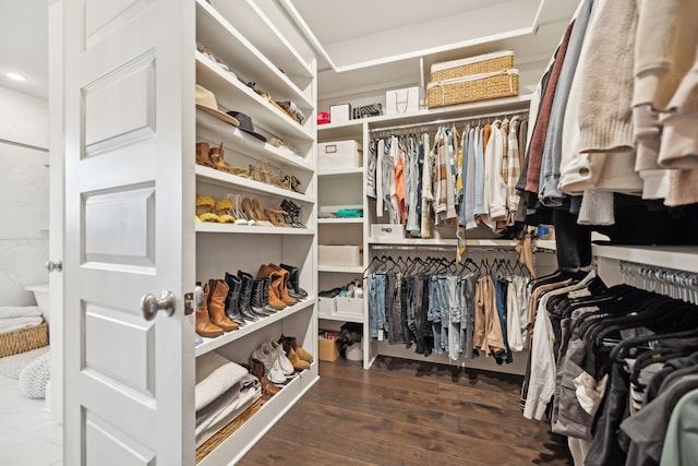 spacious closet featuring dark wood-style floors