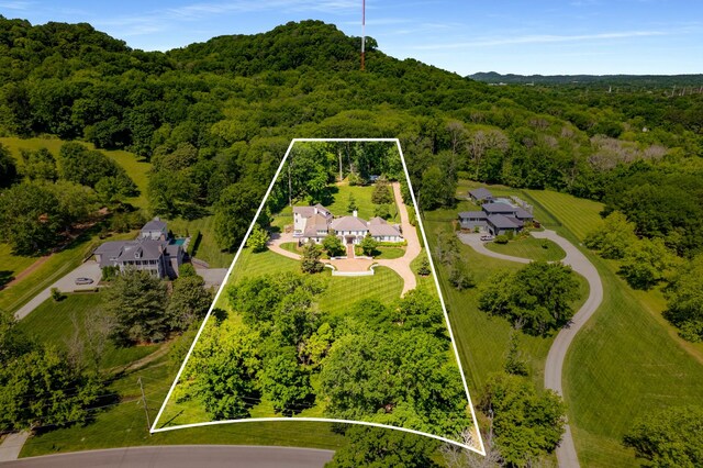 313 Deerwood Ln, Brentwood, TN 37027 - aerial overview of property's location with a heavily wooded area and property parcel outlined