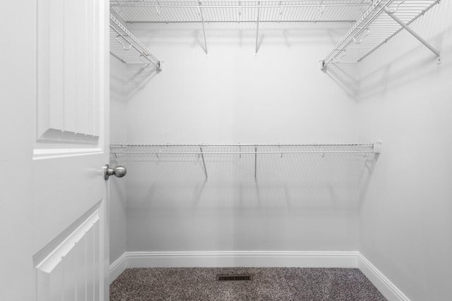 spacious closet featuring carpet flooring and visible vents