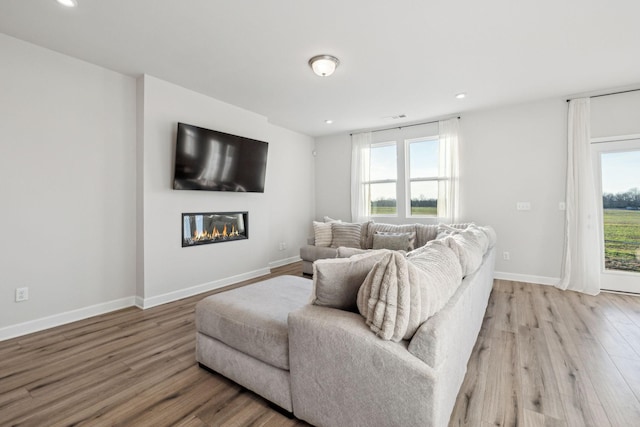 living room featuring a healthy amount of sunlight, baseboards, and wood finished floors