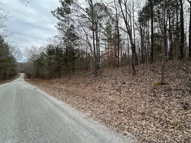 Listing photo 3 for 0 Doherty Store Rd, Big Sandy TN 38221