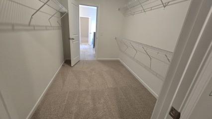 spacious closet with carpet