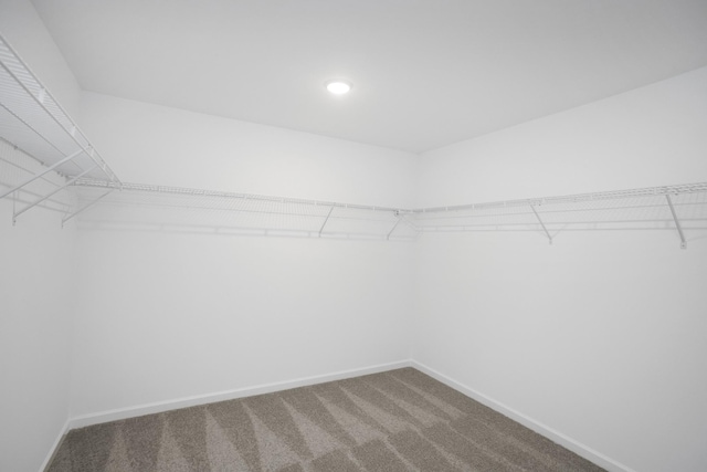 walk in closet featuring carpet