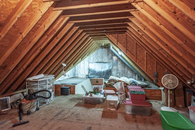 1225 Chloe Dr, Gallatin, TN 37066 - view of unfinished attic