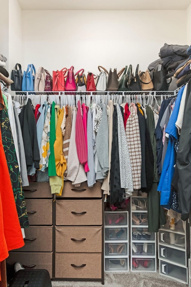 walk in closet with carpet floors