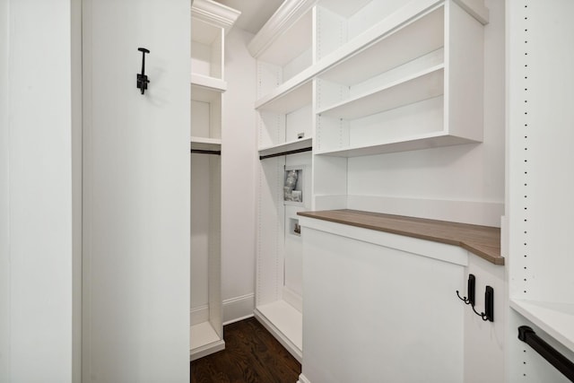 walk in closet featuring dark wood-style flooring