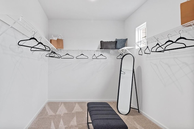 spacious closet featuring light carpet