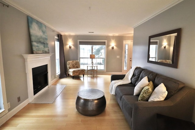 living area featuring baseboards, light wood finished floors, a fireplace, and crown molding