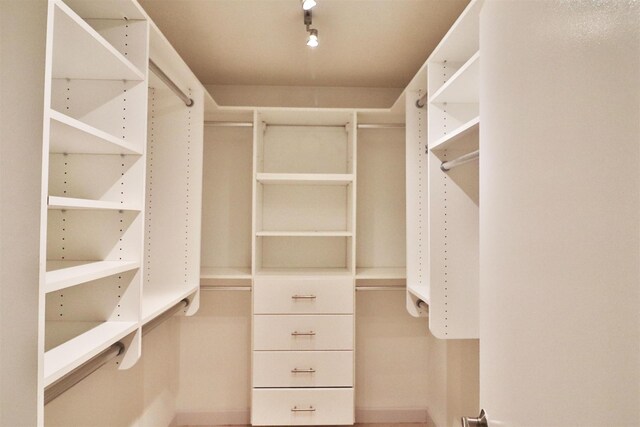 view of walk in closet