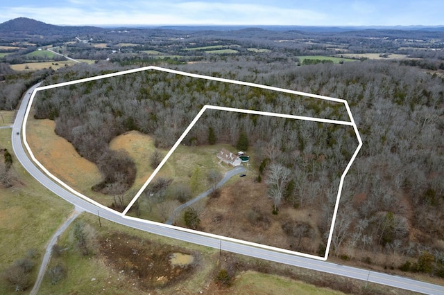 aerial view with a mountain view