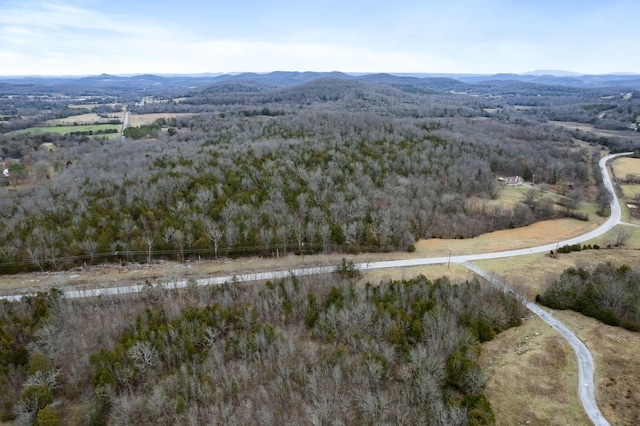 birds eye view of property featuring a mountain view