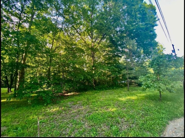 103 E Rachel St, Collinwood TN, 38450 land for sale