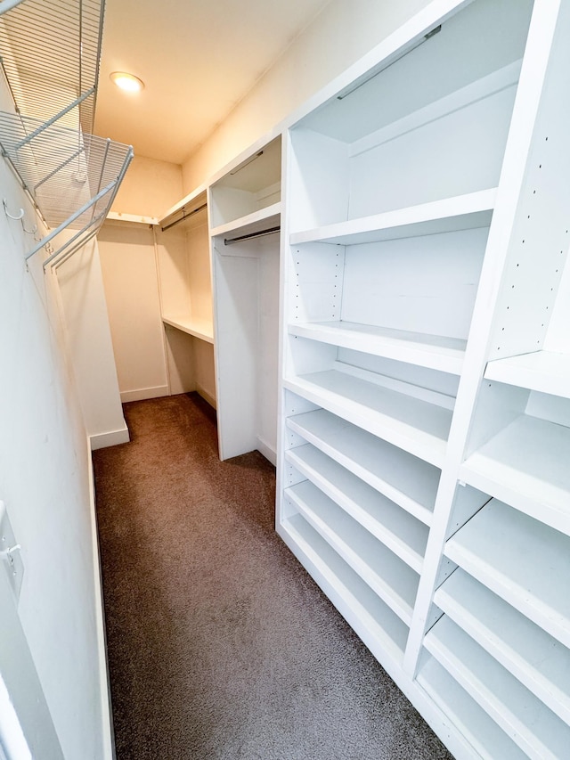 spacious closet with dark carpet