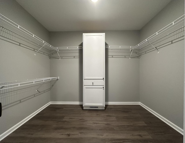 spacious closet with dark wood-type flooring