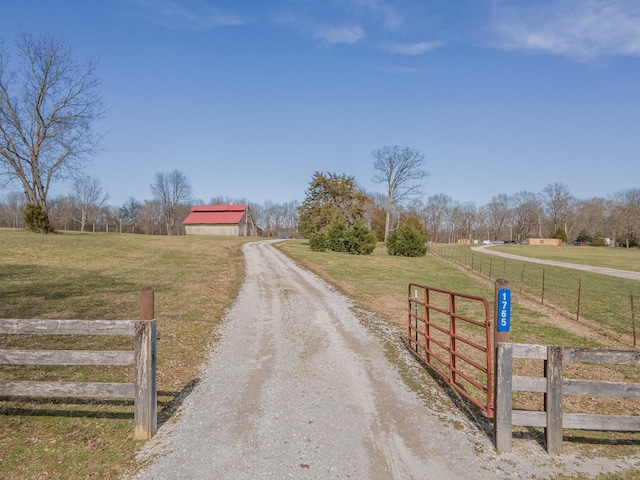 view of road featuring dirt driveway and a rural view