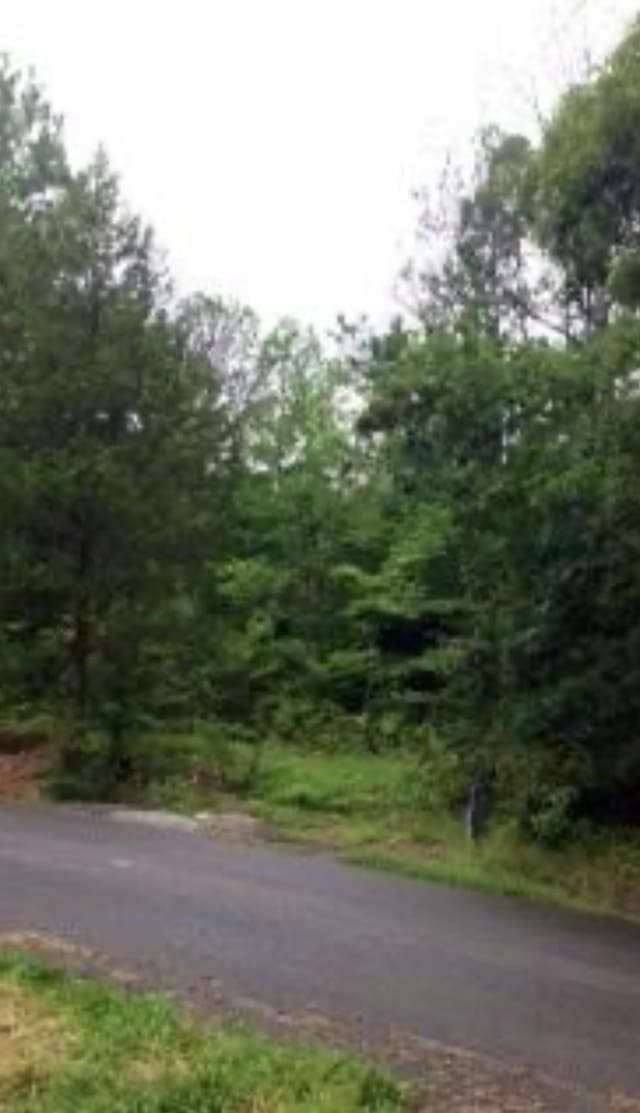 0 Knob Hill Dr, Waverly TN, 37185 land for sale