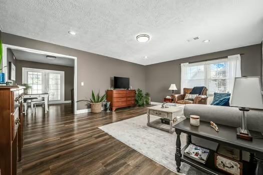 living room featuring dark wood-style flooring, plenty of natural light, a textured ceiling, and baseboards