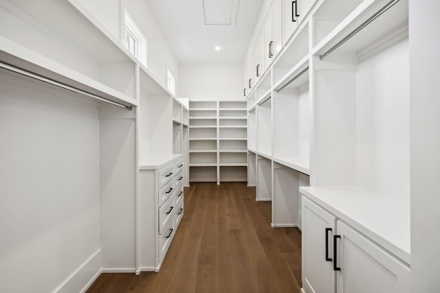 walk in closet with dark wood finished floors