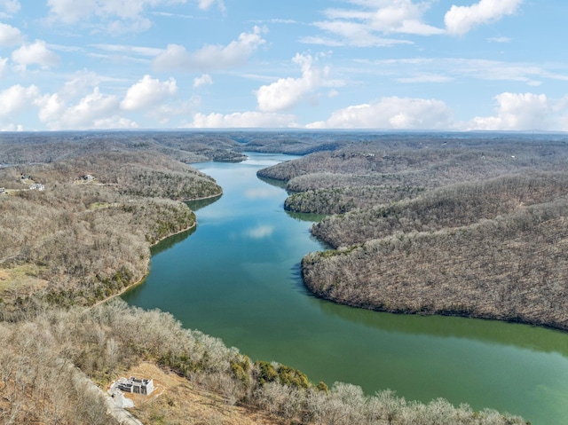 4485 Coconut Ridge Rd, Smithville, TN 37166 - photo 33