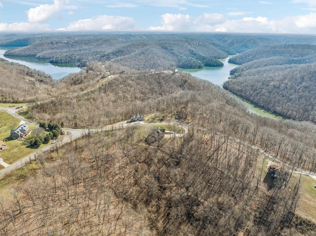 4485 Coconut Ridge Rd, Smithville, TN 37166 - photo 30