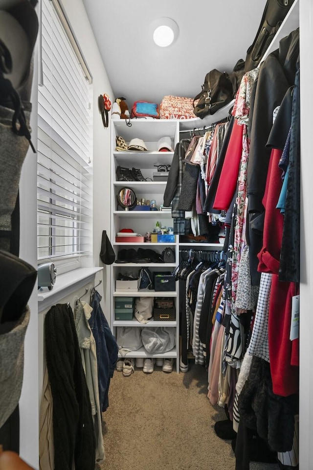 walk in closet featuring carpet