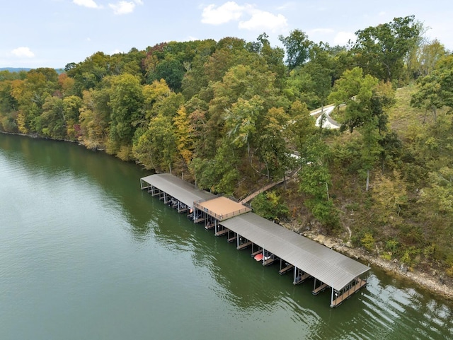 view of dock with a water view and a view of trees