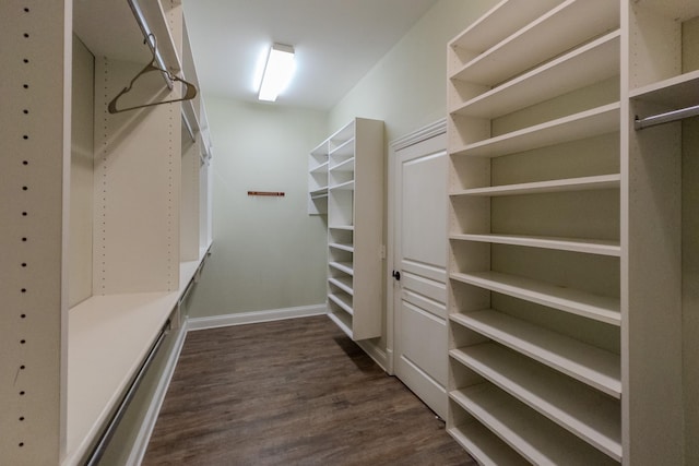 walk in closet with dark wood-type flooring