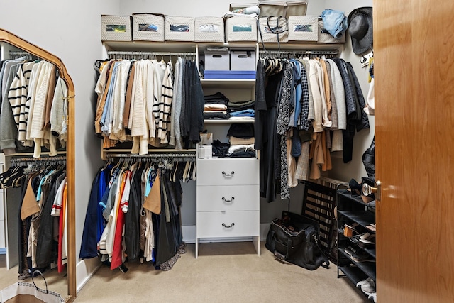 spacious closet featuring carpet flooring