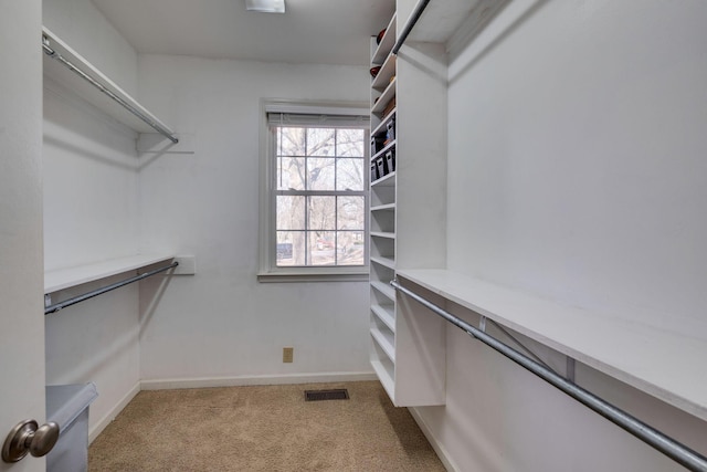 spacious closet featuring carpet and visible vents