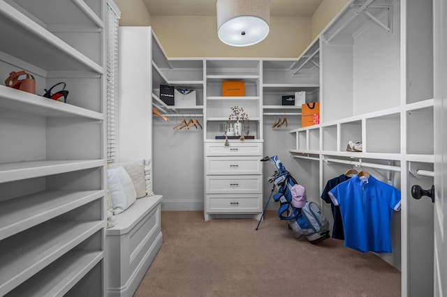 6054 Pelican Way, College Grove, TN 37046 - spacious closet with carpet floors