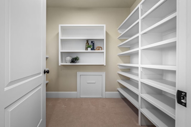 6054 Pelican Way, College Grove, TN 37046 - view of pantry