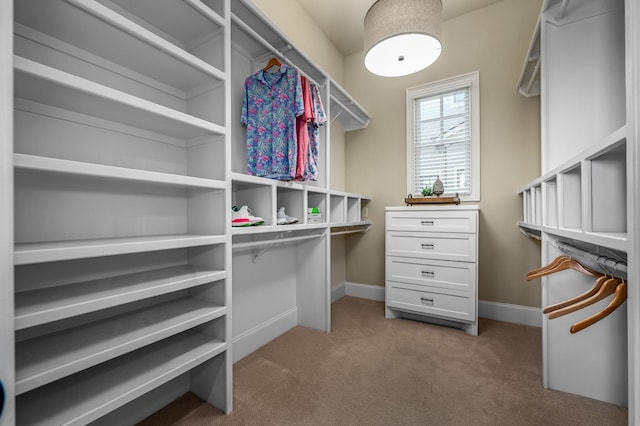 6054 Pelican Way, College Grove, TN 37046 - spacious closet featuring carpet floors