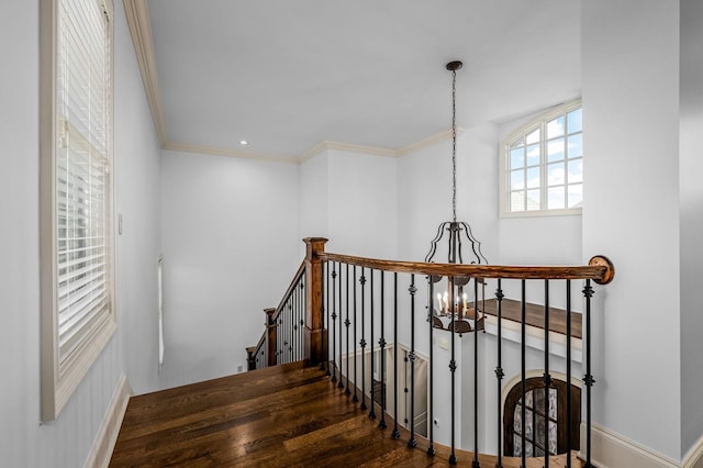 6054 Pelican Way, College Grove, TN 37046 - stairs with a chandelier, crown molding, and wood finished floors