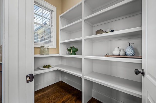 6054 Pelican Way, College Grove, TN 37046 - view of pantry