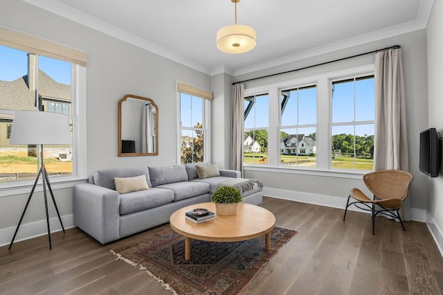 living room featuring dark wood-type flooring, a healthy amount of sunlight, and ornamental molding