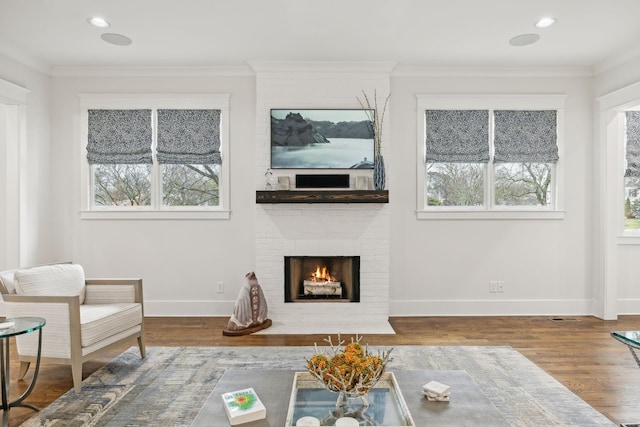 living room with ornamental molding, a fireplace, and wood finished floors