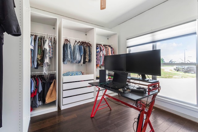 office space with ceiling fan and dark wood finished floors