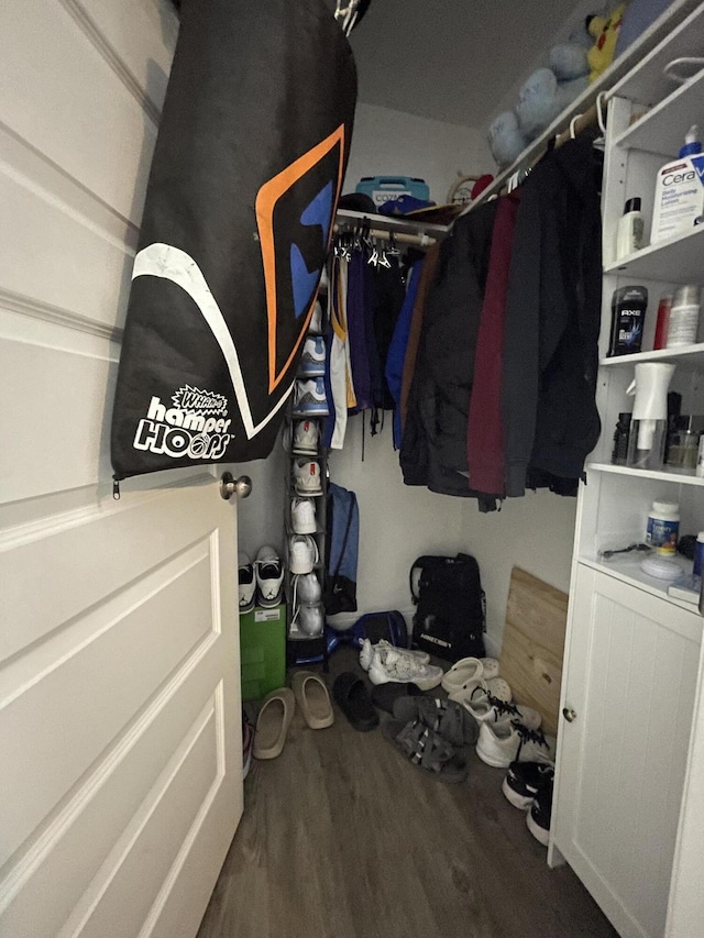 walk in closet featuring wood finished floors