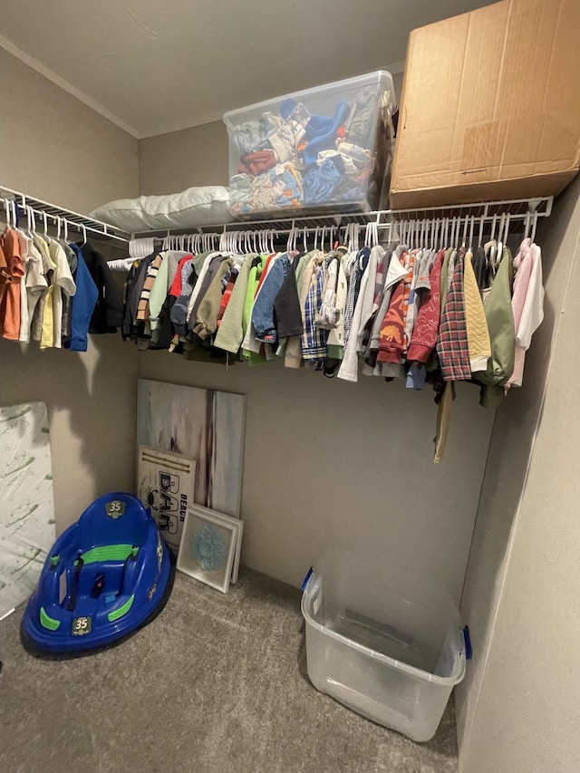 spacious closet featuring carpet floors